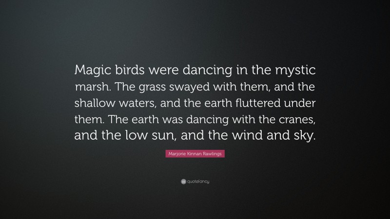 Marjorie Kinnan Rawlings Quote: “Magic birds were dancing in the mystic marsh. The grass swayed with them, and the shallow waters, and the earth fluttered under them. The earth was dancing with the cranes, and the low sun, and the wind and sky.”