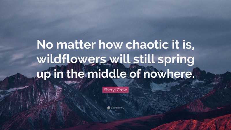 Sheryl Crow Quote: “No matter how chaotic it is, wildflowers will still spring up in the middle of nowhere.”