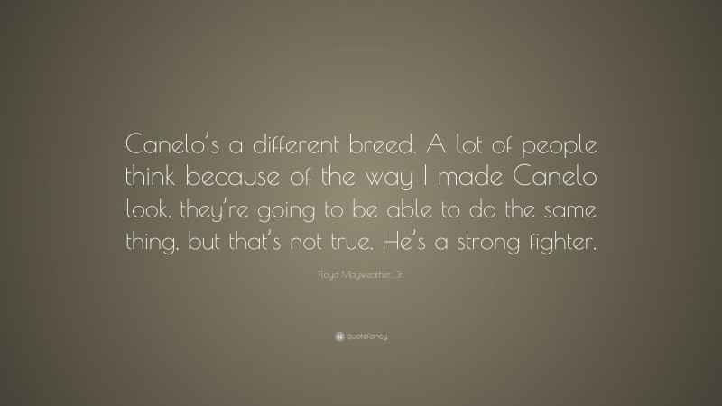 Floyd Mayweather, Jr. Quote: “Canelo’s a different breed. A lot of people think because of the way I made Canelo look, they’re going to be able to do the same thing, but that’s not true. He’s a strong fighter.”