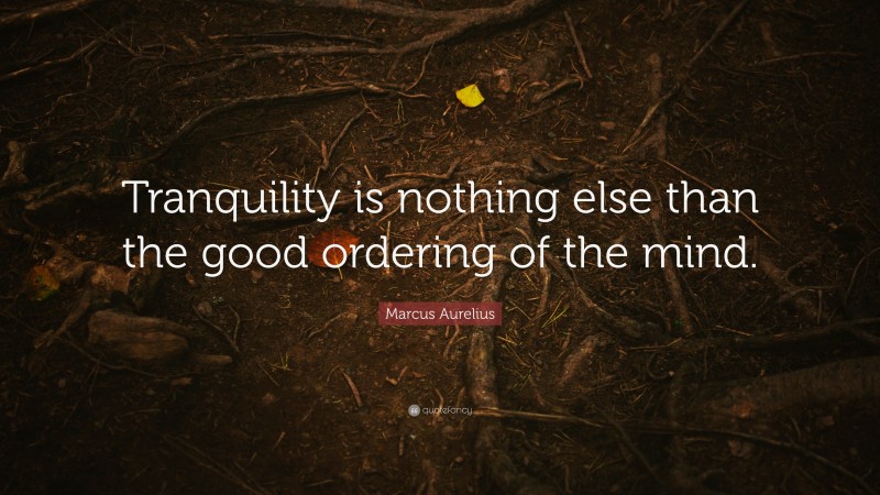 Marcus Aurelius Quote: “Tranquility is nothing else than the good ordering of the mind.”