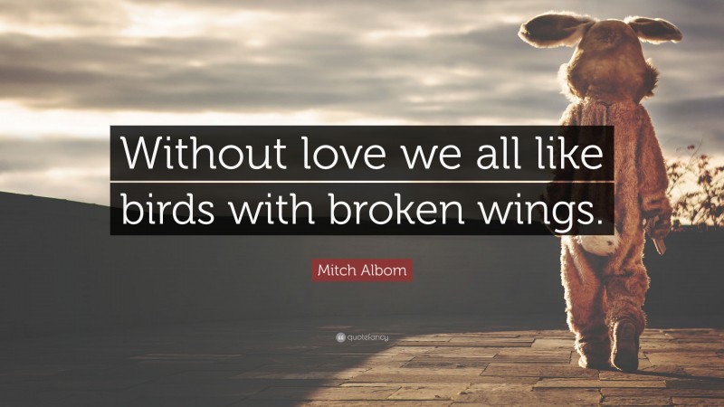 Mitch Albom Quote: “Without love we all like birds with broken wings.”
