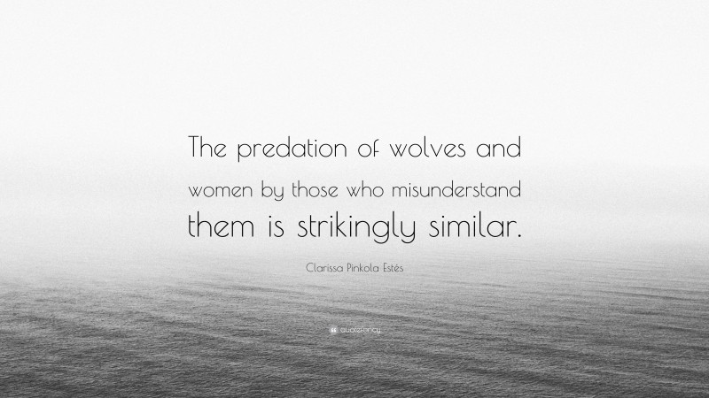 Clarissa Pinkola Estés Quote: “The predation of wolves and women by those who misunderstand them is strikingly similar.”