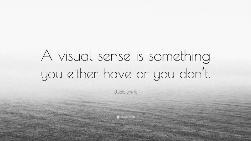 Elliott Erwitt Quote: “A visual sense is something you either have or you don’t.”