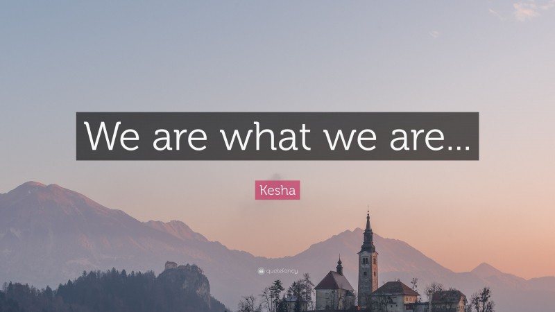 Kesha Quote: “We are what we are...”