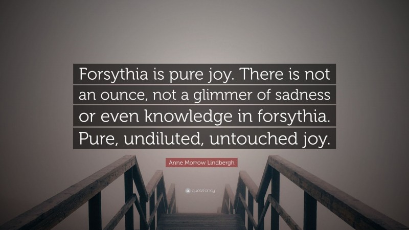 Anne Morrow Lindbergh Quote: “Forsythia is pure joy. There is not an ounce, not a glimmer of sadness or even knowledge in forsythia. Pure, undiluted, untouched joy.”