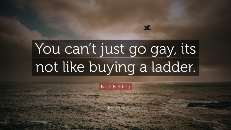 Noel Fielding Quote: “You can’t just go gay, its not like buying a ladder.”