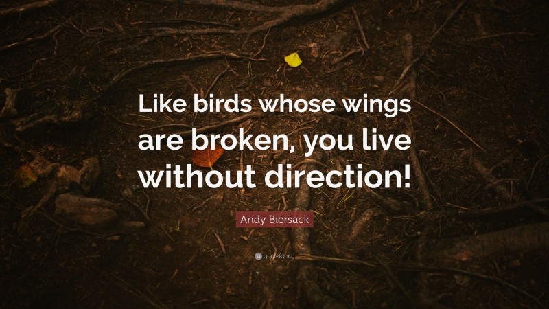 Andy Biersack Quote: “Like birds whose wings are broken, you live without direction!”