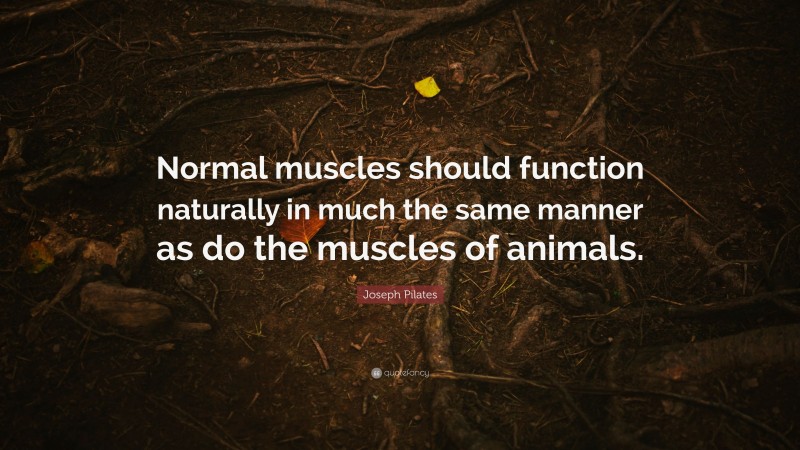 Joseph Pilates Quote: “Normal muscles should function naturally in much the same manner as do the muscles of animals.”