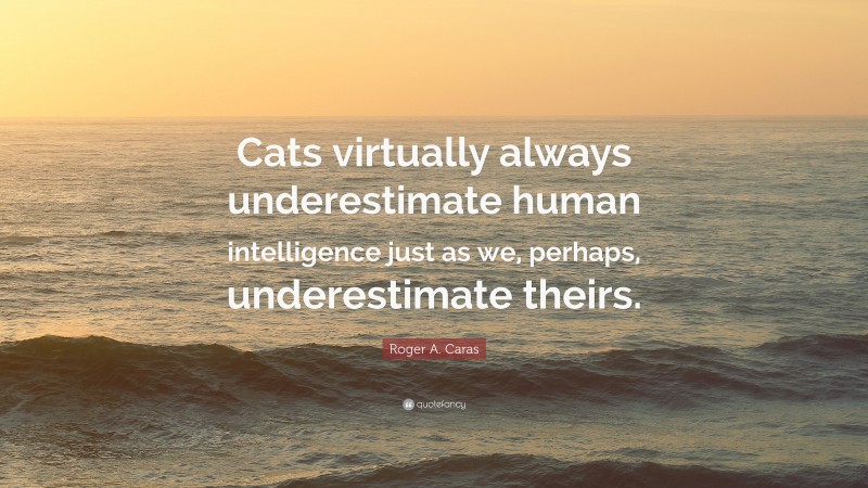 Roger A. Caras Quote: “Cats virtually always underestimate human intelligence just as we, perhaps, underestimate theirs.”