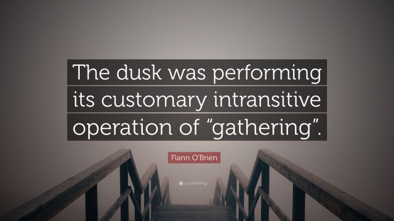 Flann O'Brien Quote: “The dusk was performing its customary intransitive operation of “gathering”.”