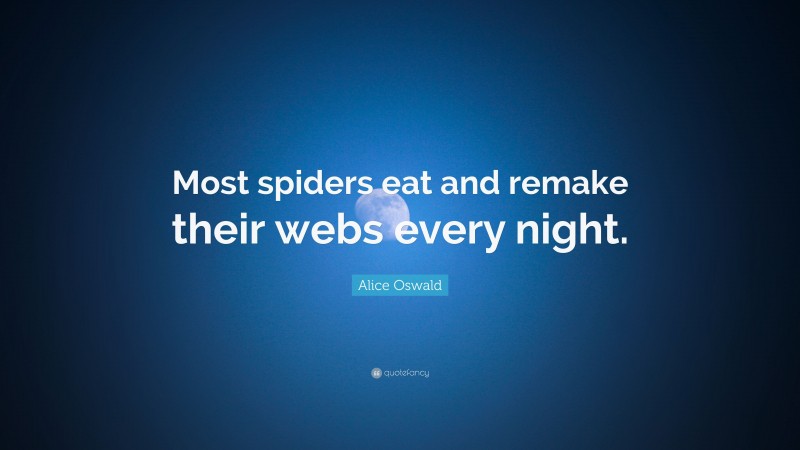 Alice Oswald Quote: “Most spiders eat and remake their webs every night.”