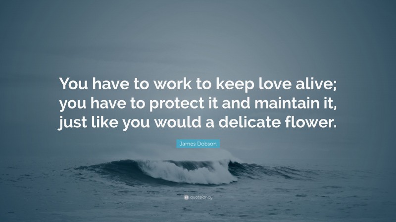 James Dobson Quote: “You have to work to keep love alive; you have to protect it and maintain it, just like you would a delicate flower.”