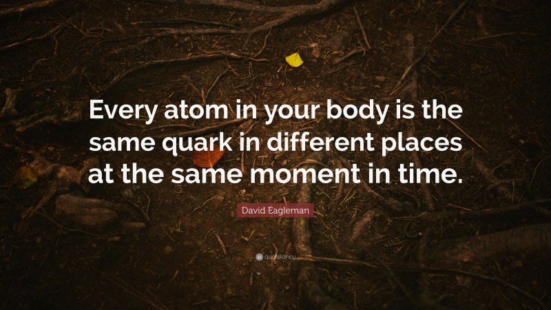David Eagleman Quote: “Every atom in your body is the same quark in different places at the same moment in time.”