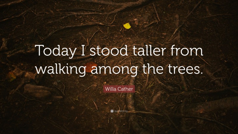 Willa Cather Quote: “Today I stood taller from walking among the trees.”
