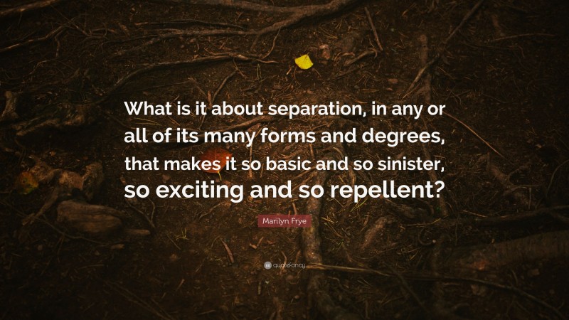 Marilyn Frye Quote: “What is it about separation, in any or all of its many forms and degrees, that makes it so basic and so sinister, so exciting and so repellent?”