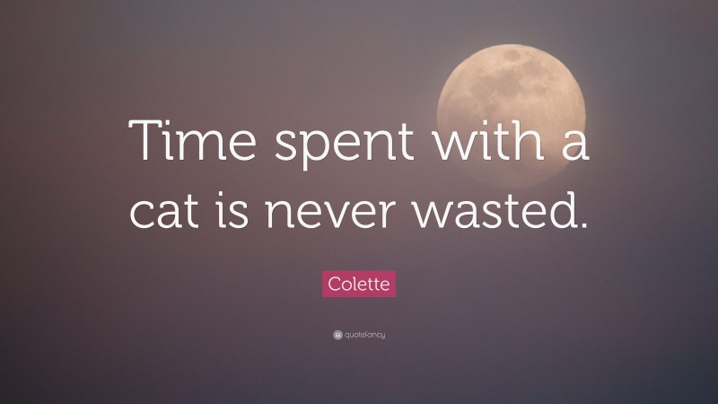Colette Quote: “Time spent with a cat is never wasted.”