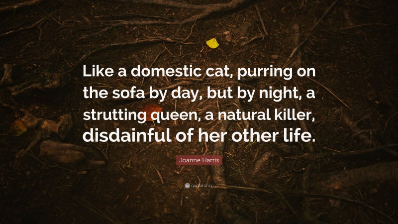 Joanne Harris Quote: “Like a domestic cat, purring on the sofa by day, but by night, a strutting queen, a natural killer, disdainful of her other life.”