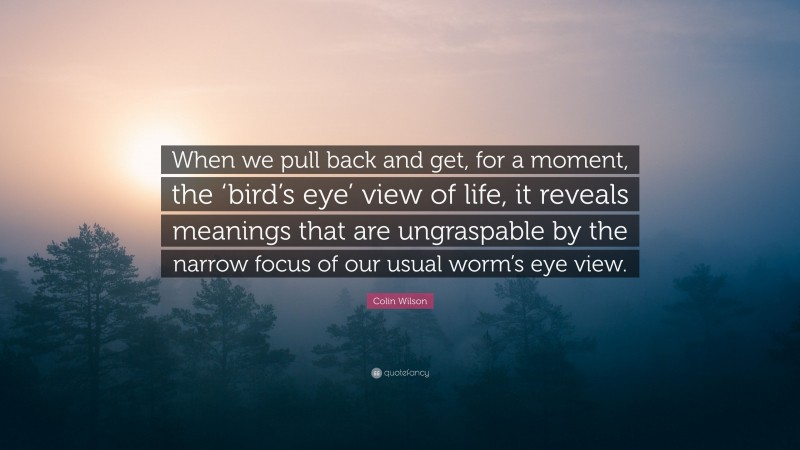 Colin Wilson Quote: “When we pull back and get, for a moment, the ‘bird’s eye’ view of life, it reveals meanings that are ungraspable by the narrow focus of our usual worm’s eye view.”
