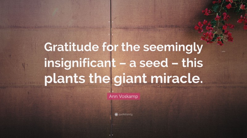 Ann Voskamp Quote: “Gratitude for the seemingly insignificant – a seed – this plants the giant miracle.”