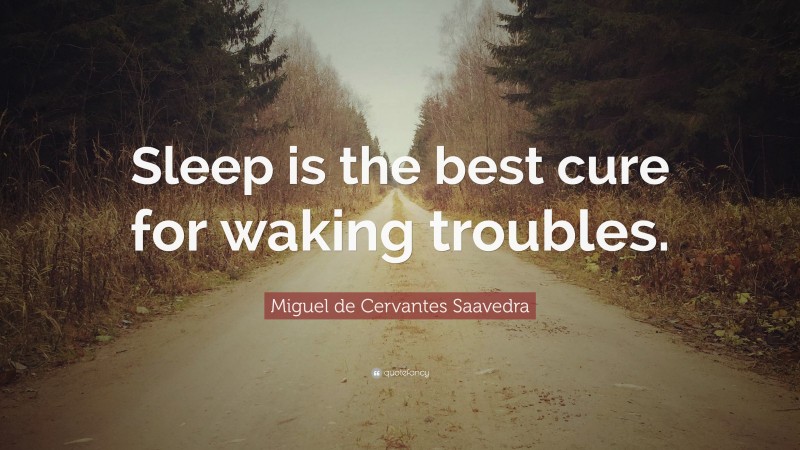 Miguel de Cervantes Saavedra Quote: “Sleep is the best cure for waking troubles.”