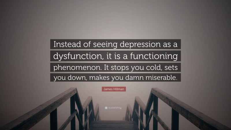 James Hillman Quote: “Instead of seeing depression as a dysfunction, it is a functioning phenomenon. It stops you cold, sets you down, makes you damn miserable.”