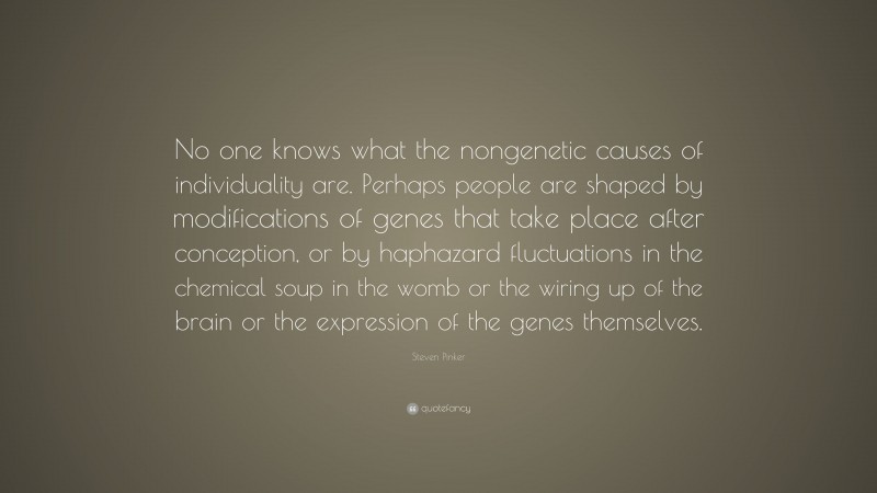 Steven Pinker Quote: “No one knows what the nongenetic causes of individuality are. Perhaps people are shaped by modifications of genes that take place after conception, or by haphazard fluctuations in the chemical soup in the womb or the wiring up of the brain or the expression of the genes themselves.”