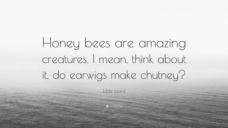 Eddie Izzard Quote: “Honey bees are amazing creatures. I mean, think about it, do earwigs make chutney?”