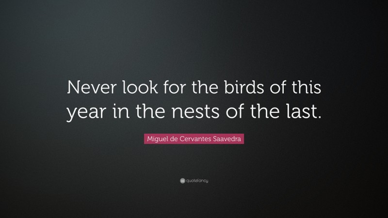 Miguel de Cervantes Saavedra Quote: “Never look for the birds of this year in the nests of the last.”