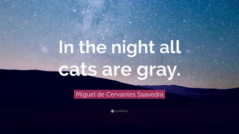 Miguel de Cervantes Saavedra Quote: “In the night all cats are gray.”