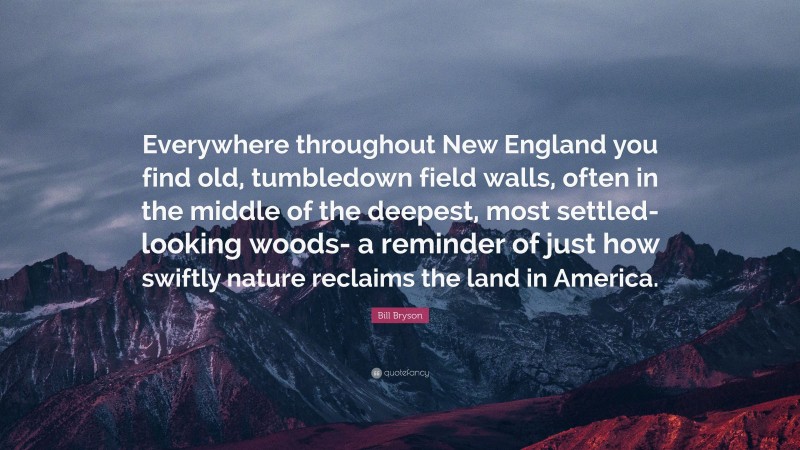 Bill Bryson Quote: “Everywhere throughout New England you find old, tumbledown field walls, often in the middle of the deepest, most settled- looking woods- a reminder of just how swiftly nature reclaims the land in America.”