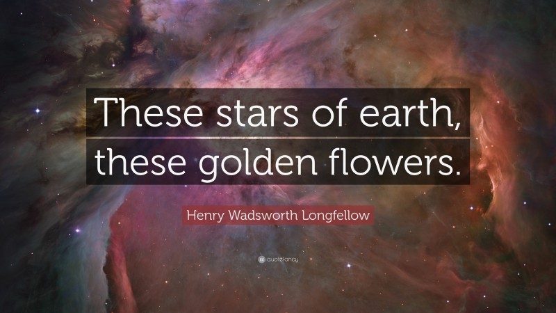 Henry Wadsworth Longfellow Quote: “These stars of earth, these golden flowers.”