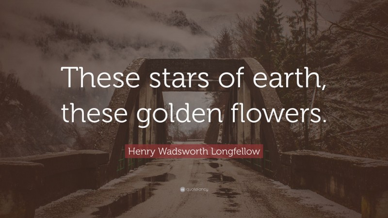 Henry Wadsworth Longfellow Quote: “These stars of earth, these golden flowers.”