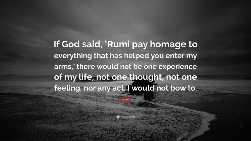 Rumi Quote: “If God said, ‘Rumi pay homage to everything that has helped you enter my arms,’ there would not be one experience of my life, not one thought, not one feeling, nor any act, I would not bow to.”