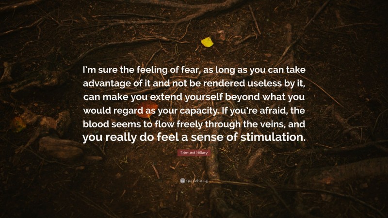 Edmund Hillary Quote: “I’m sure the feeling of fear, as long as you can take advantage of it and not be rendered useless by it, can make you extend yourself beyond what you would regard as your capacity. If you’re afraid, the blood seems to flow freely through the veins, and you really do feel a sense of stimulation.”
