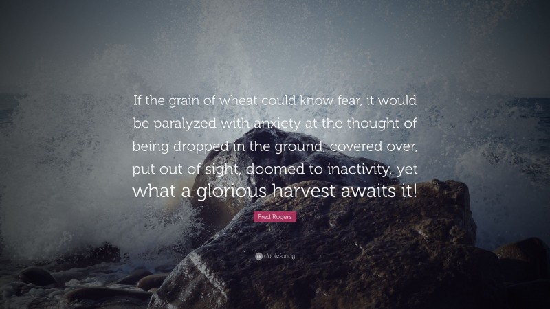 Fred Rogers Quote: “If the grain of wheat could know fear, it would be paralyzed with anxiety at the thought of being dropped in the ground, covered over, put out of sight, doomed to inactivity, yet what a glorious harvest awaits it!”