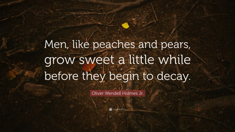 Oliver Wendell Holmes Jr. Quote: “Men, like peaches and pears, grow sweet a little while before they begin to decay.”