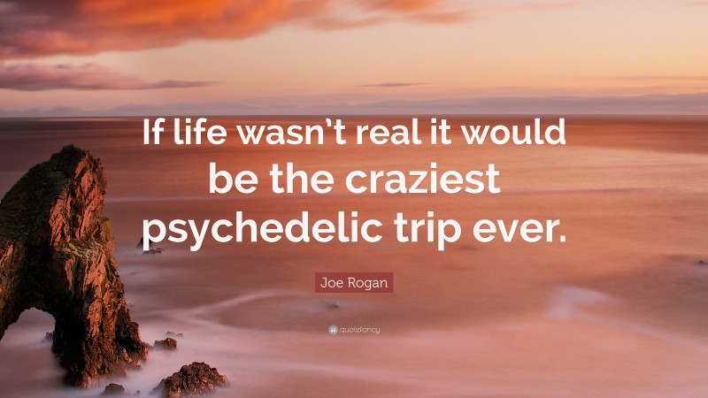 Joe Rogan Quote: “If life wasn’t real it would be the craziest psychedelic trip ever.”