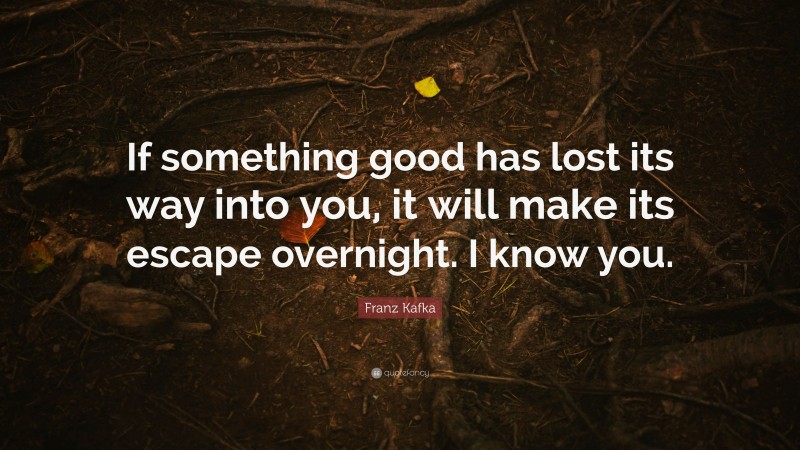 Franz Kafka Quote: “If something good has lost its way into you, it will make its escape overnight. I know you.”