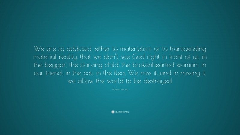 Andrew Harvey Quote: “We are so addicted, either to materialism or to transcending material reality, that we don’t see God right in front of us, in the beggar, the starving child, the brokenhearted woman; in our friend; in the cat; in the flea. We miss it, and in missing it, we allow the world to be destroyed.”