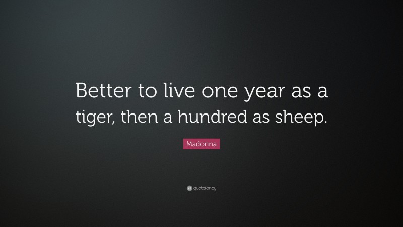 Madonna Quote: “Better to live one year as a tiger, then a hundred as sheep.”