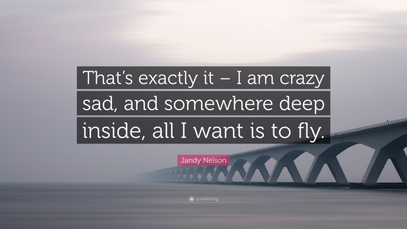 Jandy Nelson Quote: “That’s exactly it – I am crazy sad, and somewhere deep inside, all I want is to fly.”