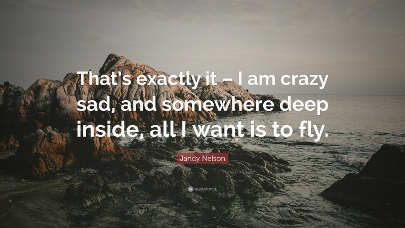 Jandy Nelson Quote: “That’s exactly it – I am crazy sad, and somewhere deep inside, all I want is to fly.”