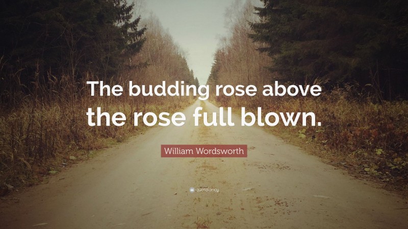 William Wordsworth Quote: “The budding rose above the rose full blown.”