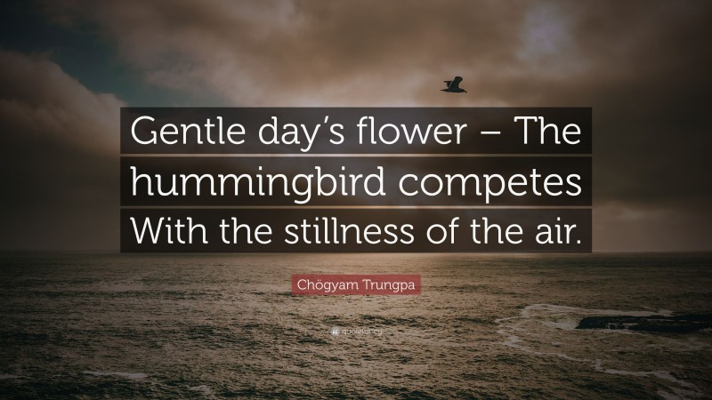 Chögyam Trungpa Quote: “Gentle day’s flower – The hummingbird competes With the stillness of the air.”