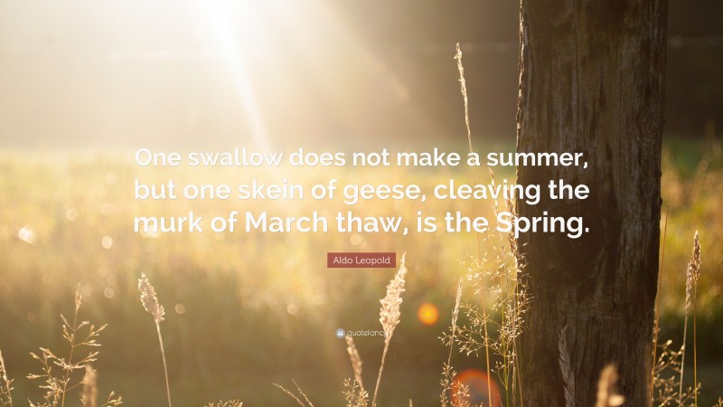 Aldo Leopold Quote: “One swallow does not make a summer, but one skein of geese, cleaving the murk of March thaw, is the Spring.”