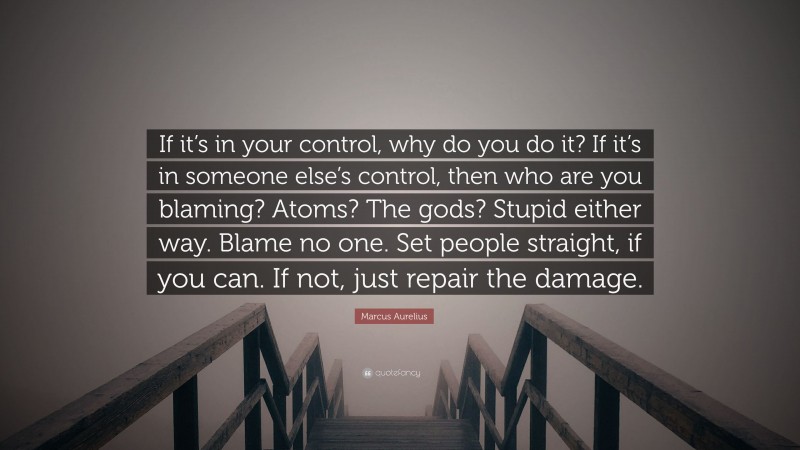 Marcus Aurelius Quote: “If it’s in your control, why do you do it? If it’s in someone else’s control, then who are you blaming? Atoms? The gods? Stupid either way. Blame no one. Set people straight, if you can. If not, just repair the damage.”