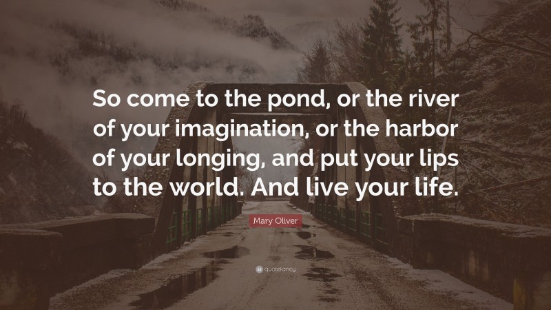 Mary Oliver Quote: “So come to the pond, or the river of your imagination, or the harbor of your longing, and put your lips to the world. And live your life.”