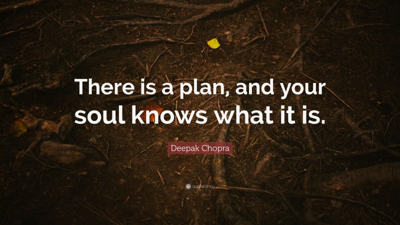 Deepak Chopra Quote: “There is a plan, and your soul knows what it is.”
