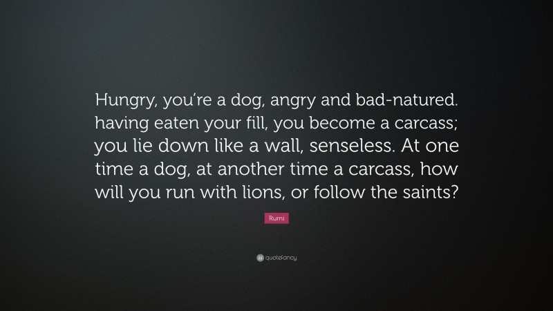 Rumi Quote: “Hungry, you’re a dog, angry and bad-natured. having eaten your fill, you become a carcass; you lie down like a wall, senseless. At one time a dog, at another time a carcass, how will you run with lions, or follow the saints?”