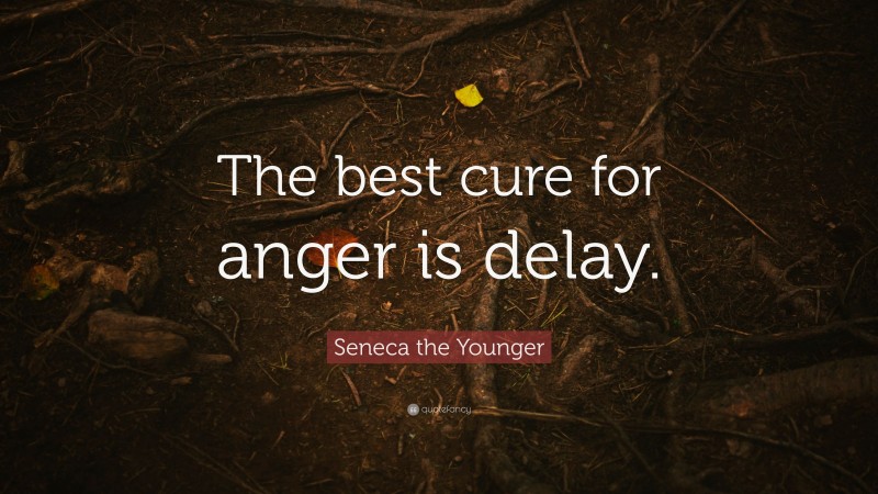 Seneca the Younger Quote: “The best cure for anger is delay.”